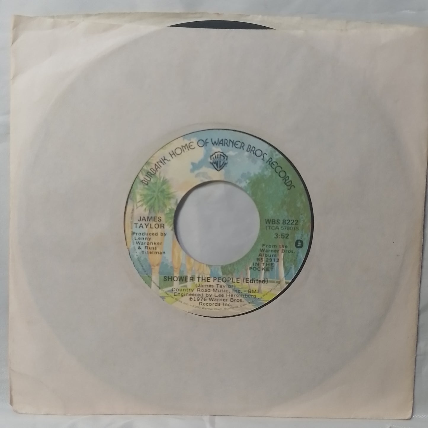 single 7" James Taylor Shower The People /  I Can Dream Of You made usa 1976 con funda original pop rock