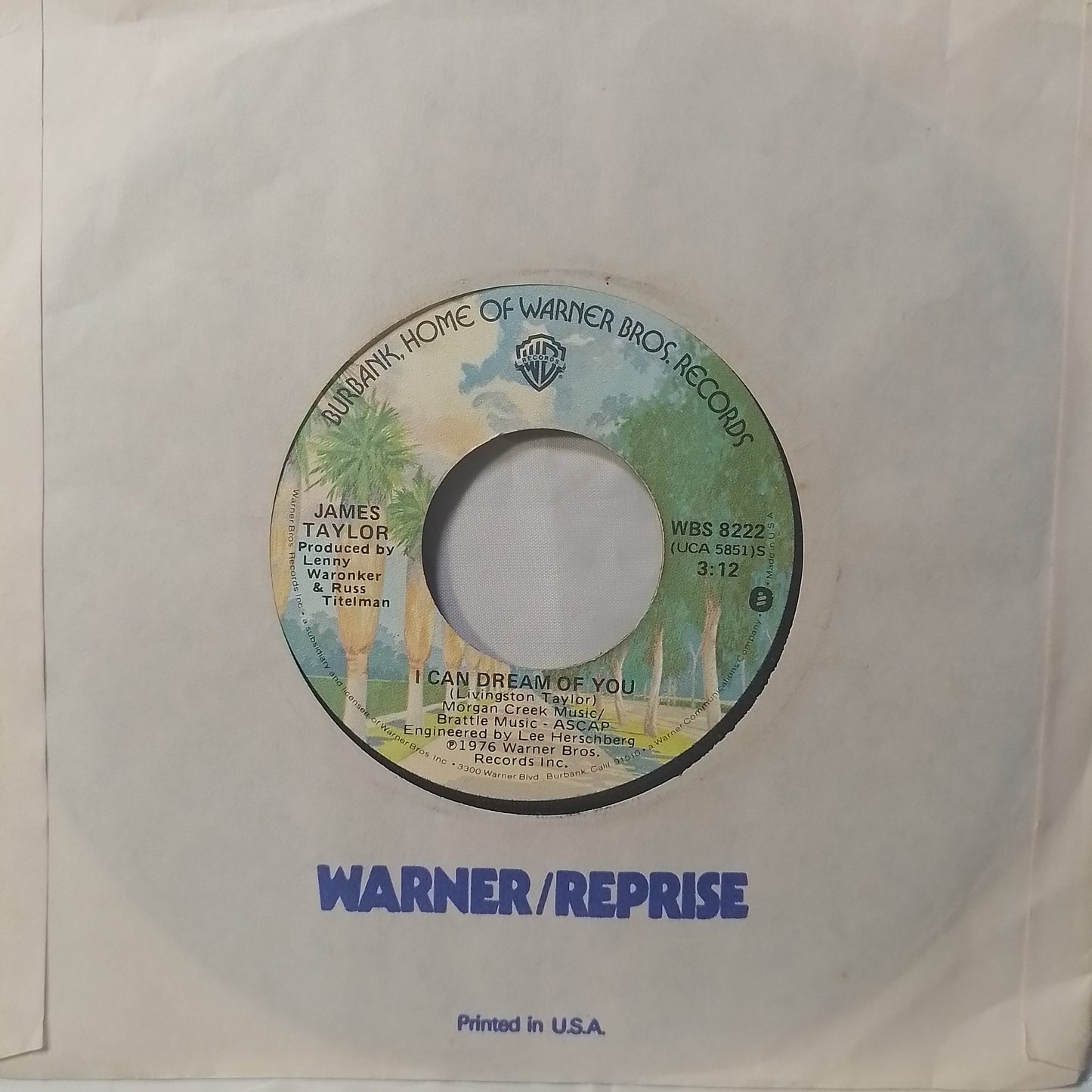single 7" James Taylor Shower The People / I Can Dream Of You made usa 1976 con funda original pop rock