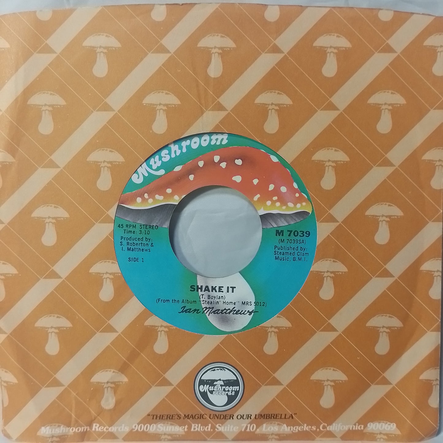 single 7" Ian Matthews Shake It / Stealin' Home made usa 1978 con funda original rock