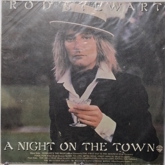 lp Rod Stewart A Night On The Town made colombia 1976 pop rock