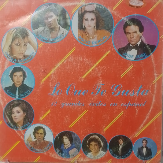 lp Lo Que Te Gusta 12 Grandes exitos En Español jose jose rocio durcal Camilo Sesto varios made peru 1985 latin pop