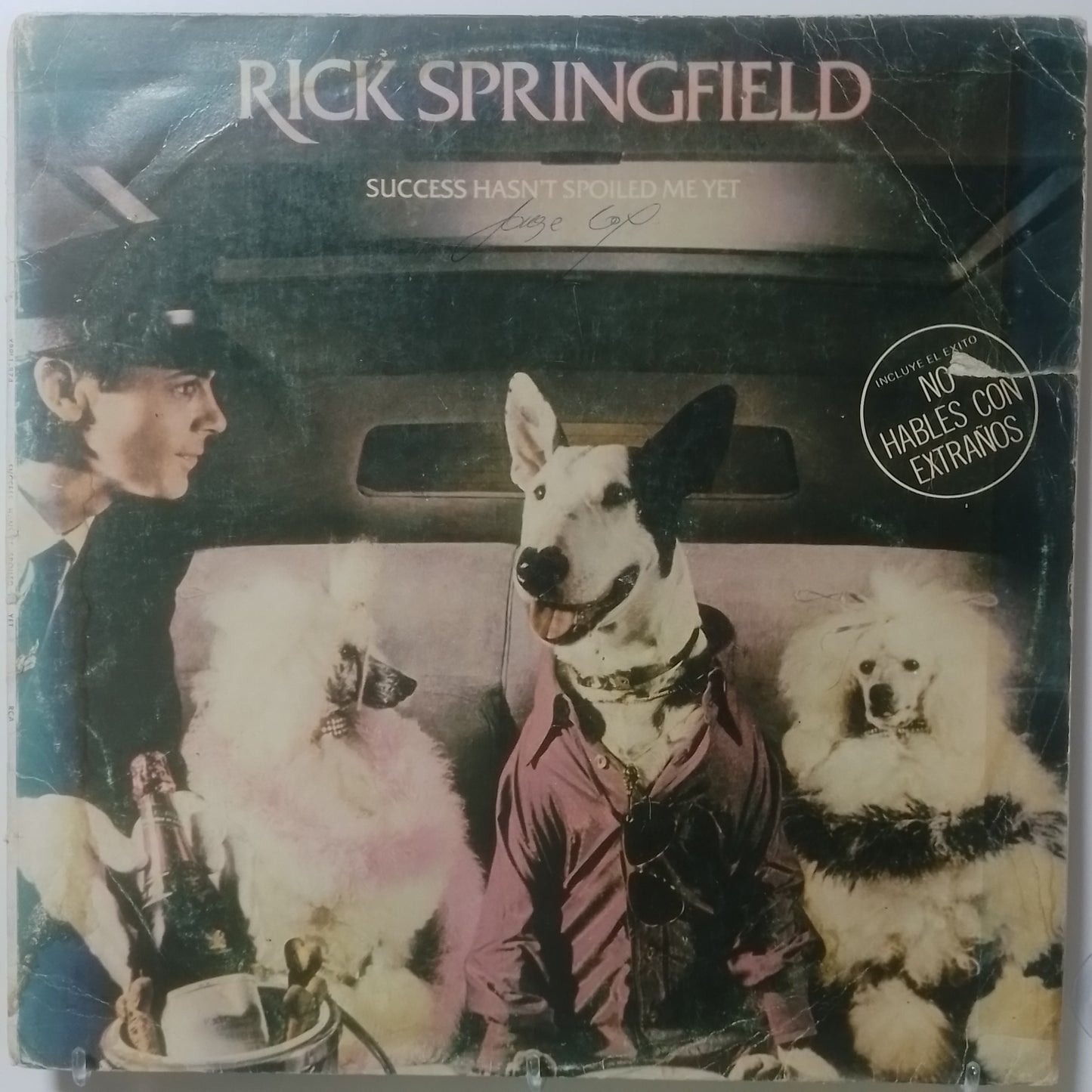 lp Rick Springfield Success Hasn't Spoiled Me Yet made usa 1982 pop rock