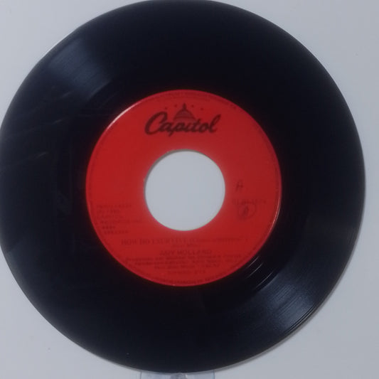 single 7" Amy Holland How Do I Survive / Don't Kid Yourself made Peru 1980 pop