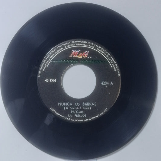 single 7" Hi-Gloss You'll Never Know / All Day, All Night made peru 1981 disco