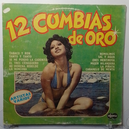 lp 12 Cumbias De Oro juaneco y su combo los mirlos los pajaritos varios made peru 1982 latin cumbia