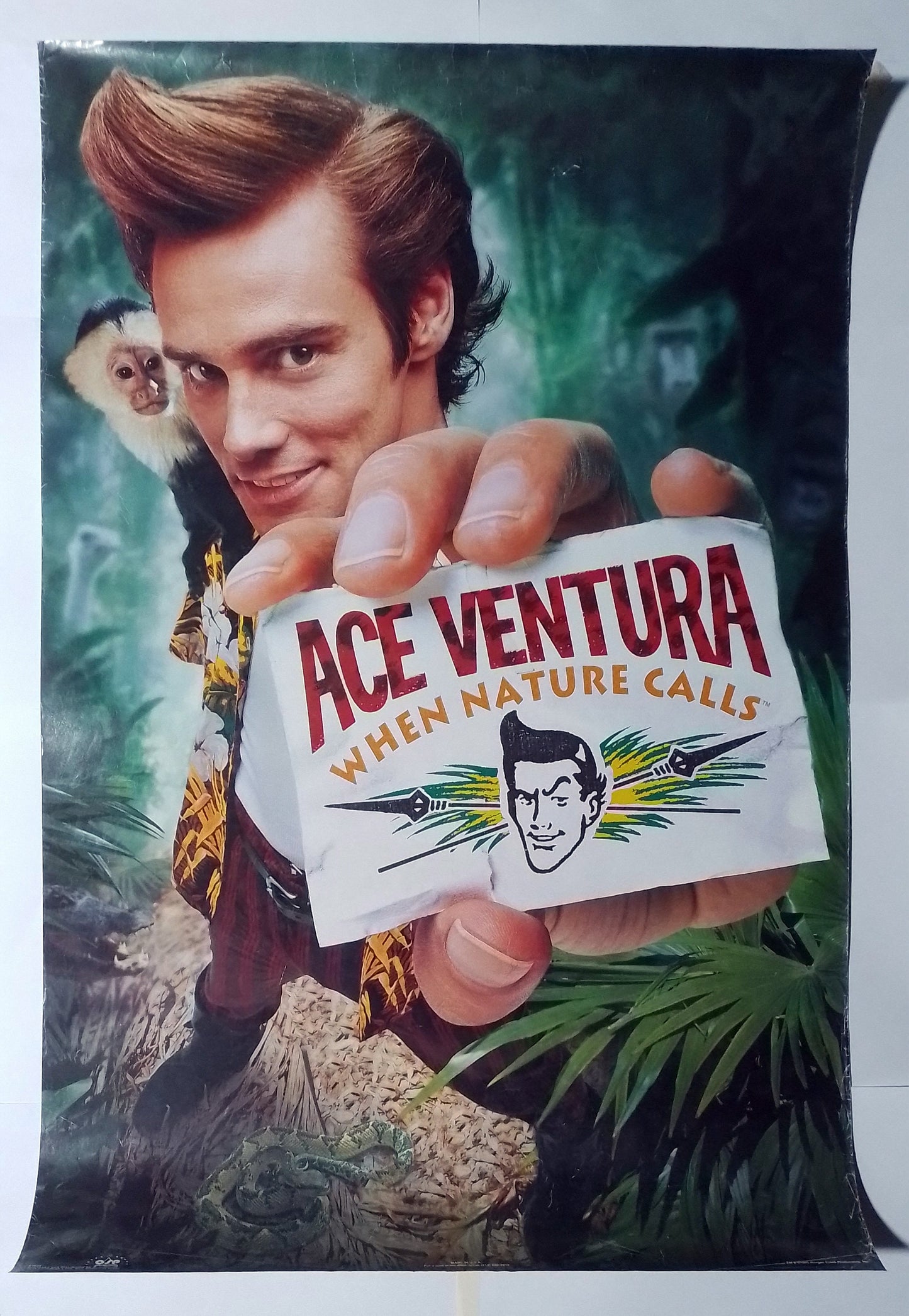 poster cine original ace ventura when nature calls