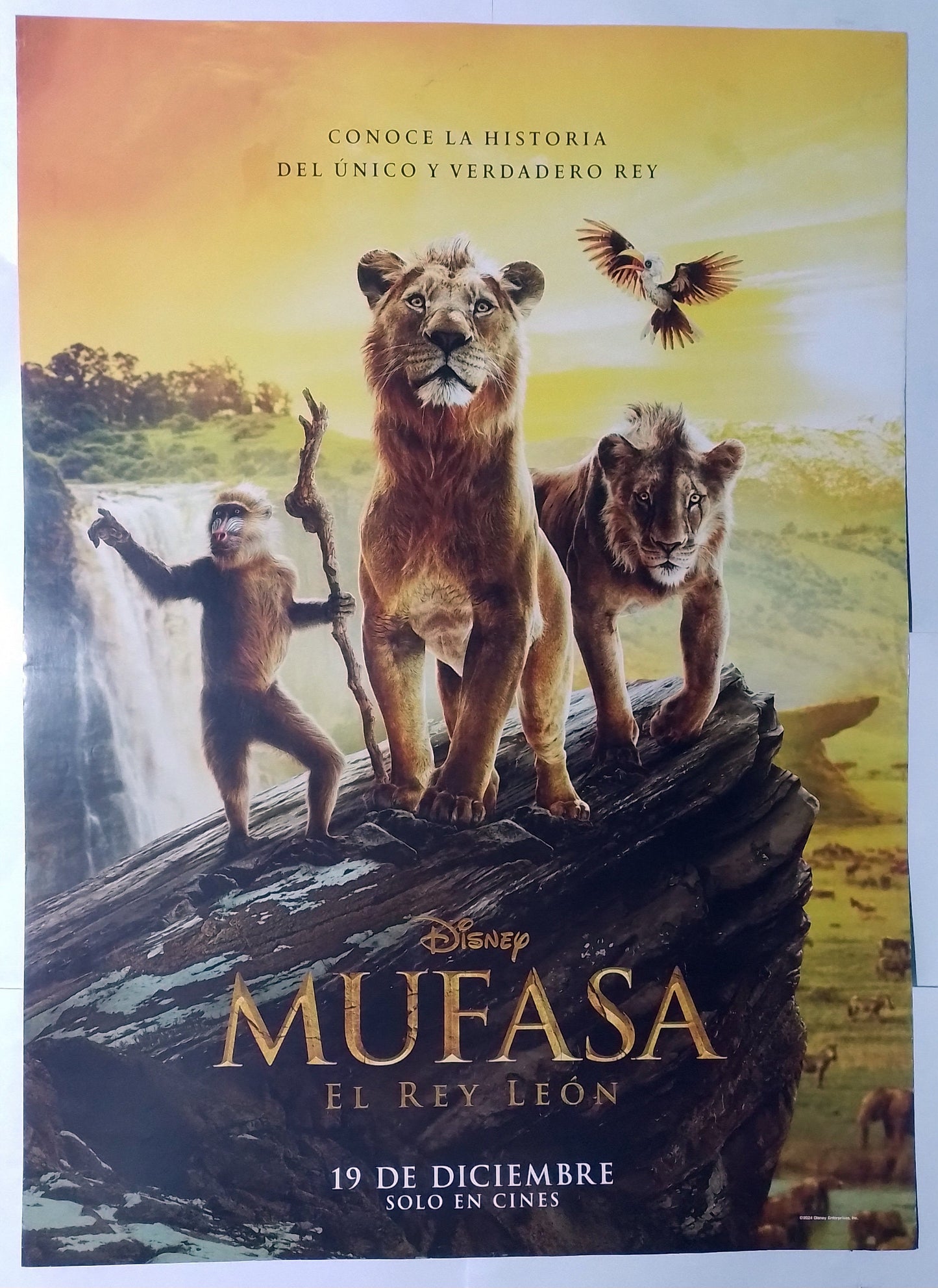 poster cine original mufasa el rey leon