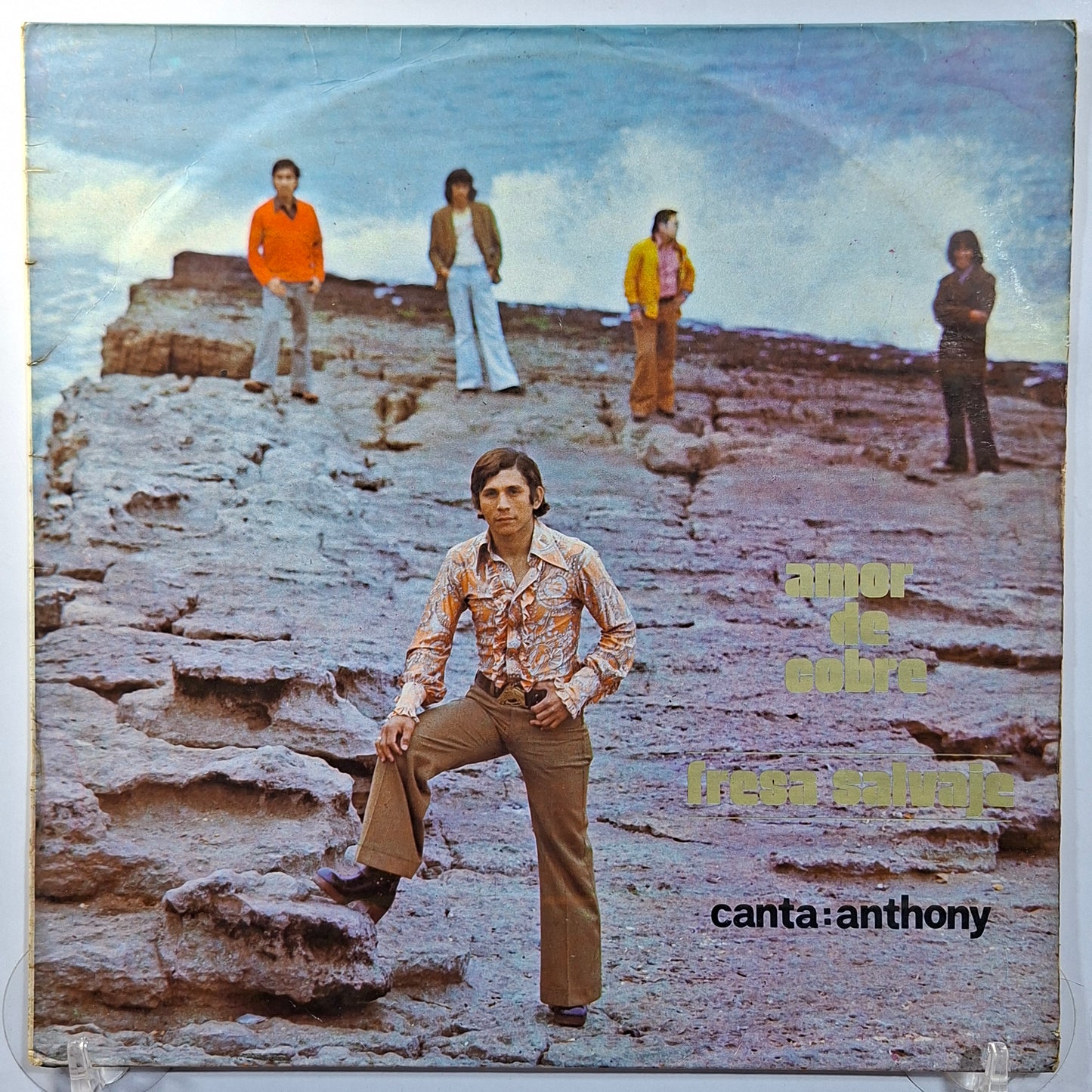 lp Fresa Salvaje Amor de Cobre made peru 1976 latin pop
