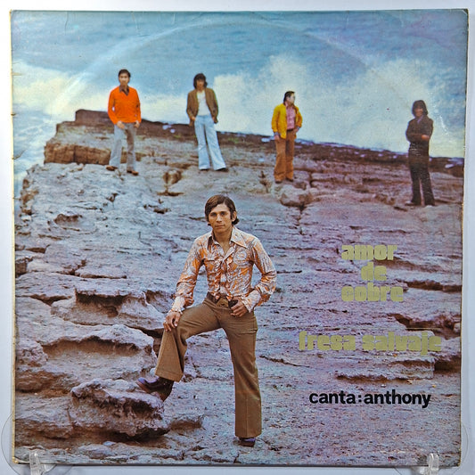 lp Fresa Salvaje Amor de Cobre made peru 1976 latin pop