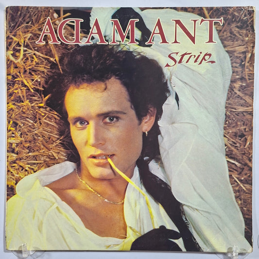 lp Adam Ant Strip made usa 1983 con insert New Wave rock